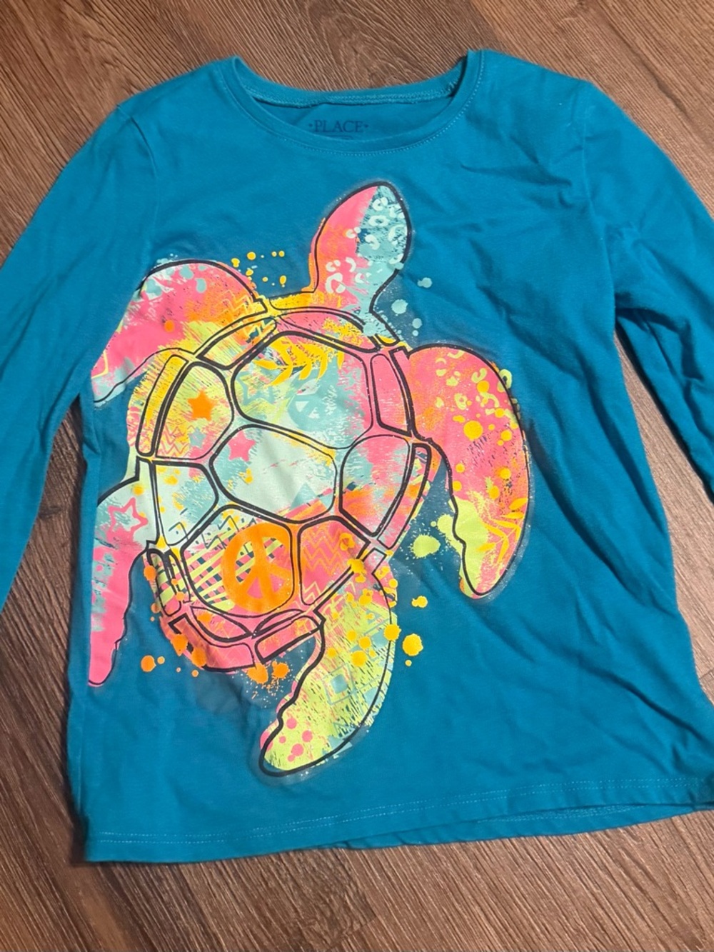 Girls' Teal Turtle Graphic Long-Sleeve Tee